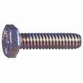 Midwest Fastener 1/4"-20 Hex Head Cap Screw, 316 Stainless Steel, 1 in L, 12 PK 932142